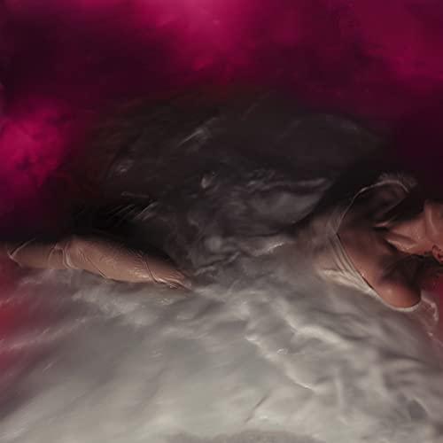 Hayley Williams - Flowers for Vases / descansos (LP) - Joco Records