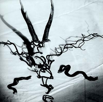 Head Of Wantastiquet - Mortague (Vinyl) - Joco Records