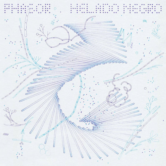 Helado Negro - Phasor (LP) - Joco Records