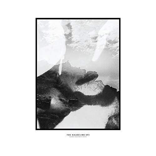 Hippo Campus - The Halocline Eps (LP) - Joco Records