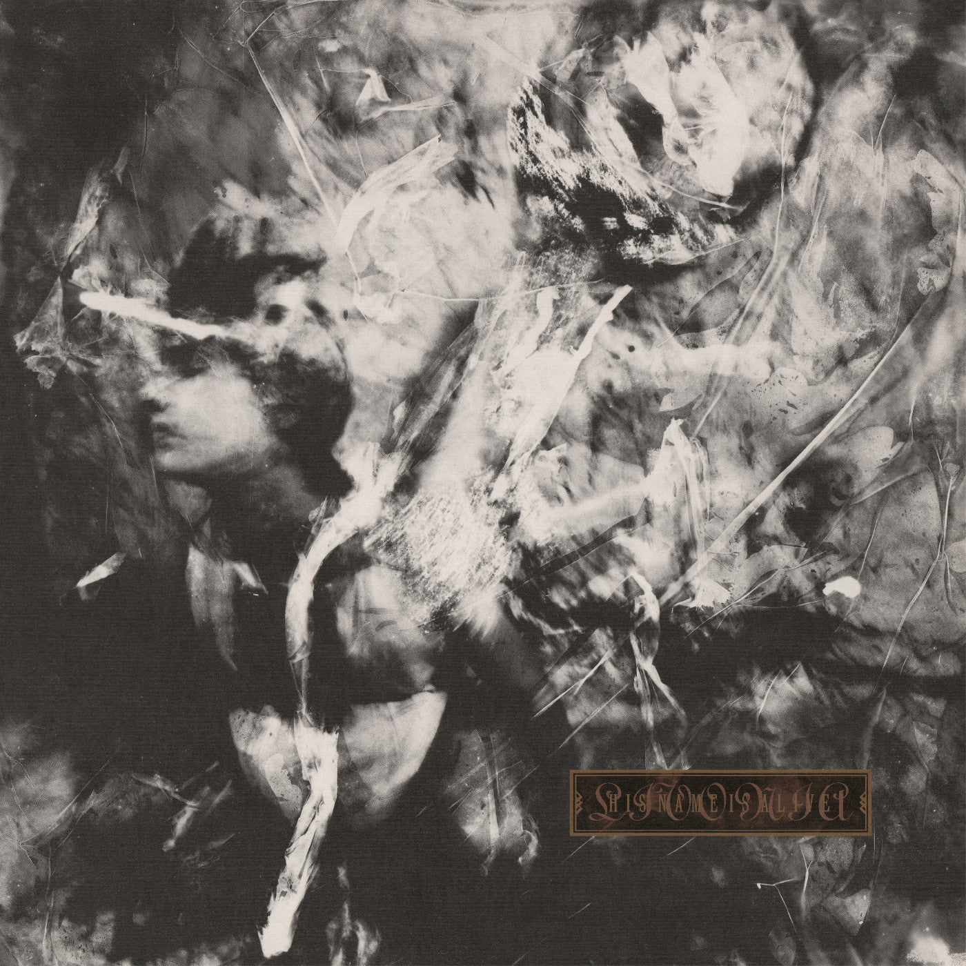 His Name Is Alive - Livonia (LP) - Joco Records