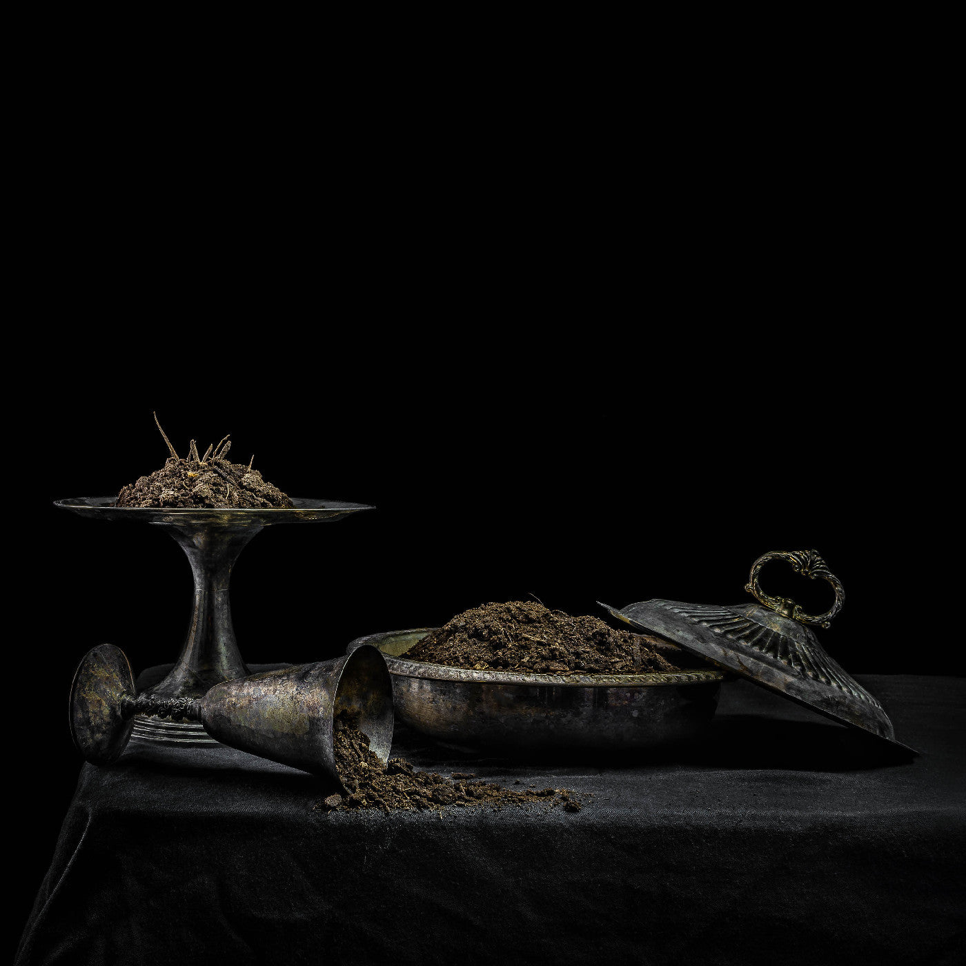 Holy Scum - All We Have Is Never (Purple Vinyl)