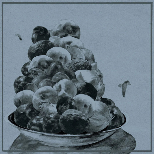 Hop Along - Painted Shut (LP) - Joco Records