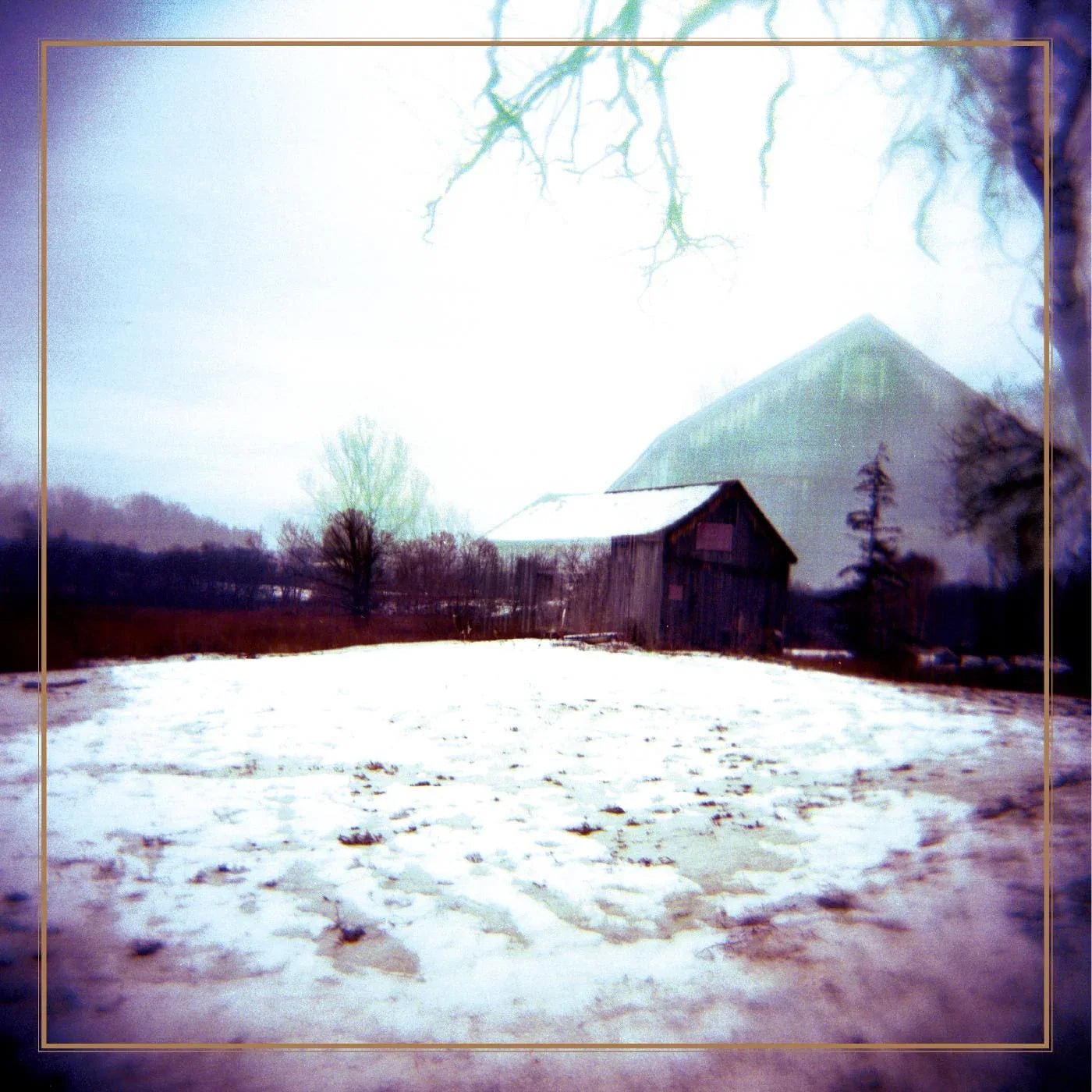 Horse Feathers - House With No Home (Deluxe Reissue, Clear Blue with Streaks Vinyl) (2 LP) - Joco Records
