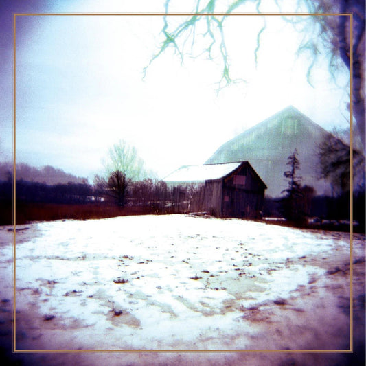 Horse Feathers - House With No Home (Deluxe Reissue, Clear Blue with Streaks Vinyl) (2 LP) - Joco Records