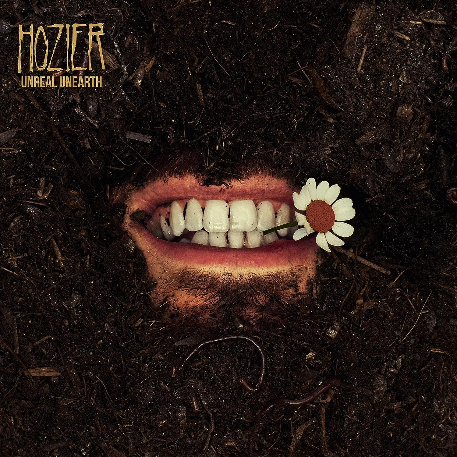 Hozier - Unreal Unearth (2 LP) - Joco Records