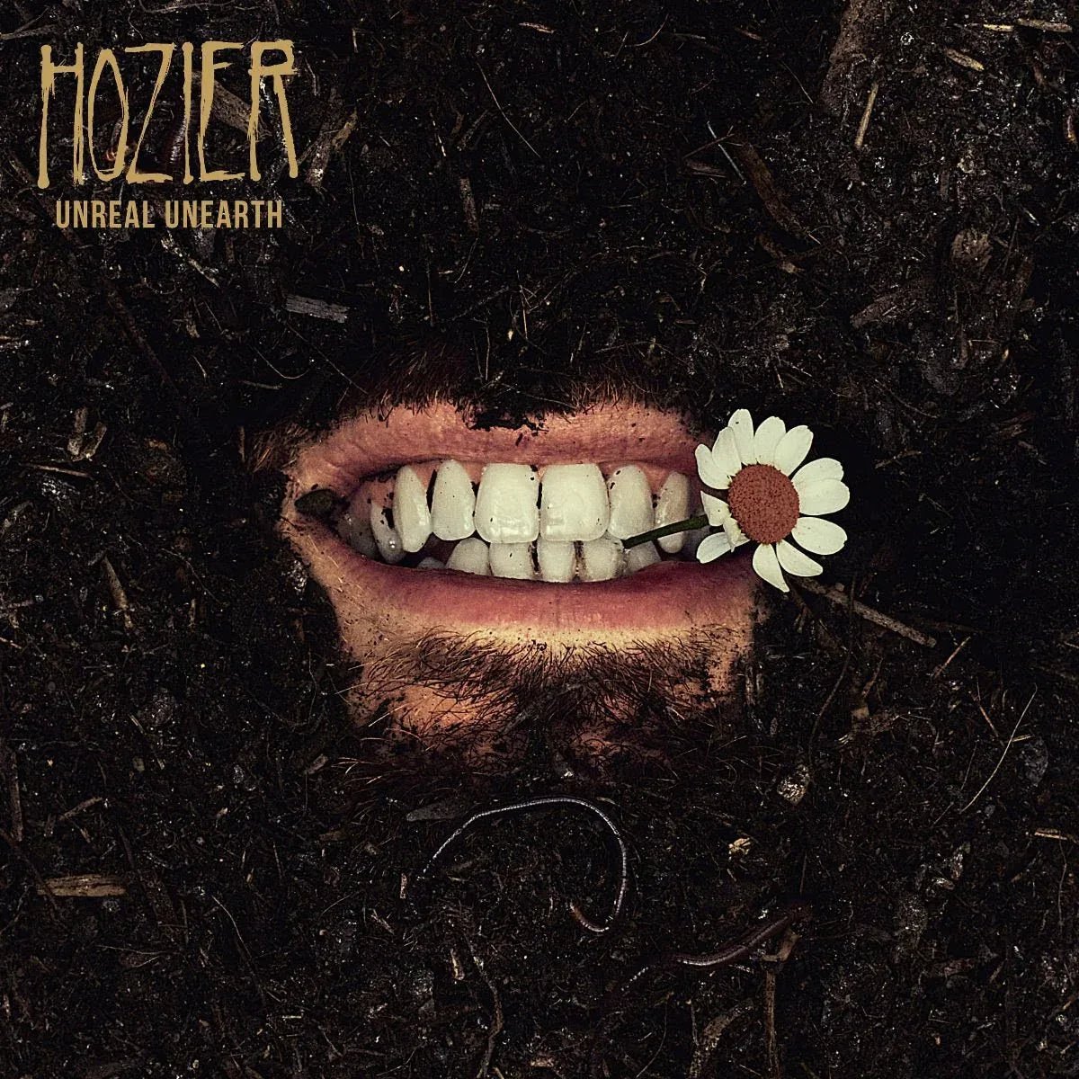 Hozier - Unreal Unearth Unending (Companion Edition, Raw Ochre Vinyl) (LP) - Joco Records