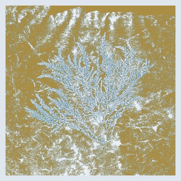 Huerco S. - For Those Of You Who Have Never (And Also Those Who Have)