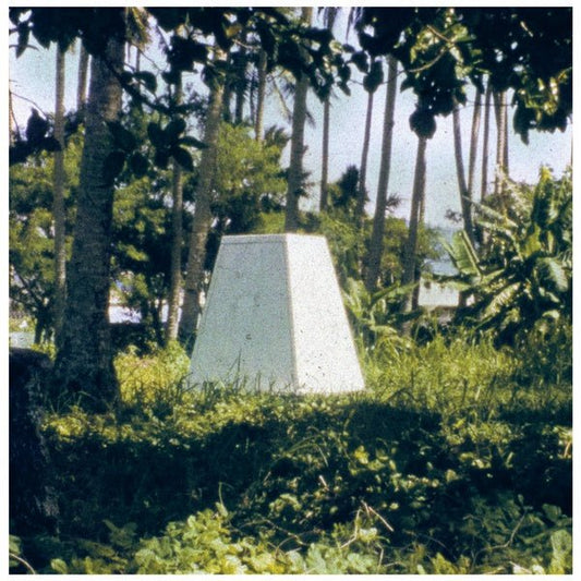 Hugo R.A. Paris - Threaded Habitat (LP) - Joco Records