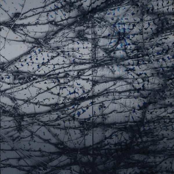 Human Rays - A Tension (LP) - Joco Records