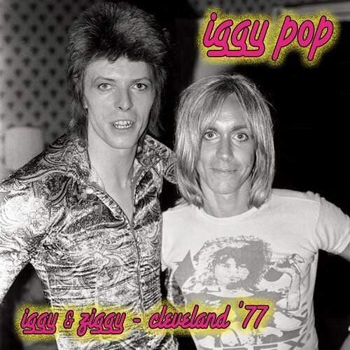 Iggy Pop - Iggy & Ziggy - Cleveland '77 (Pink Vinyl) (LP) - Joco Records
