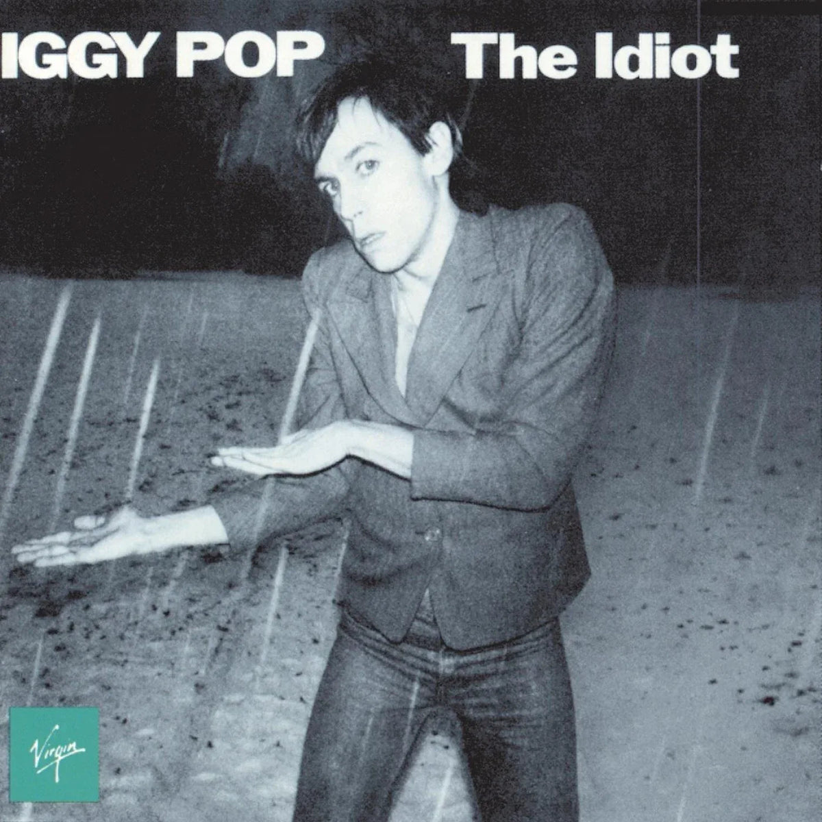 Iggy Pop - The Idiot (LP) - Joco Records