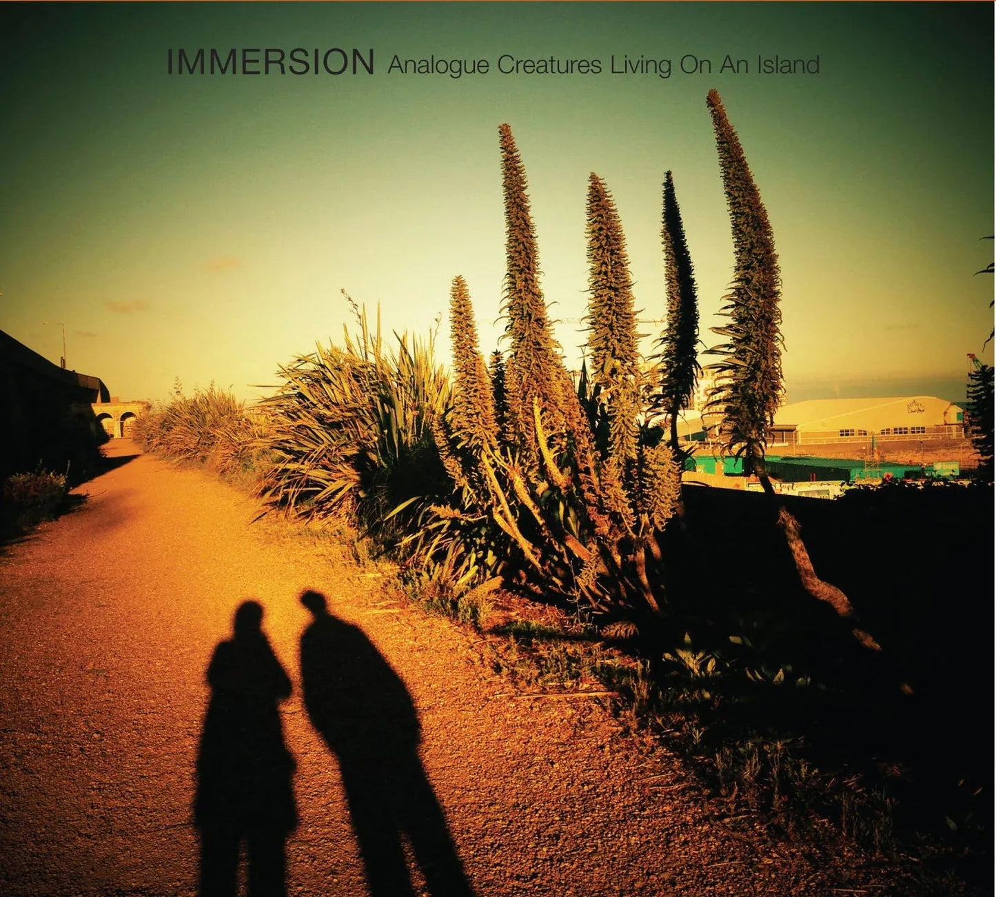 Immersion - Living On An Island (10-Inch Vinyl) - Joco Records