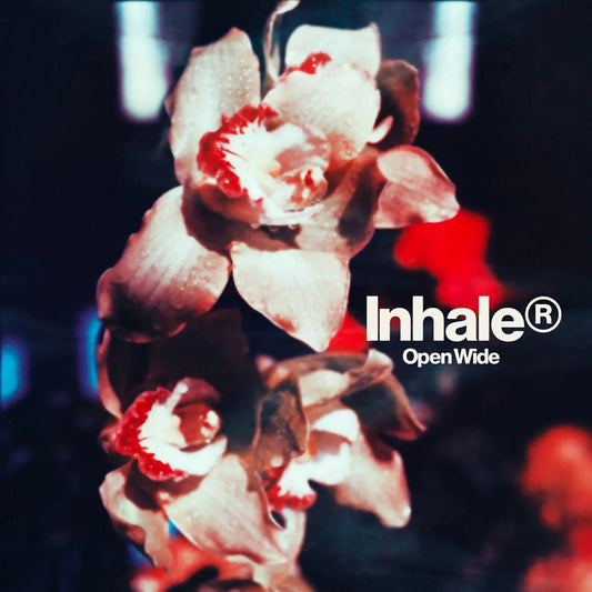 Inhaler - Open Wide (LP) - Joco Records