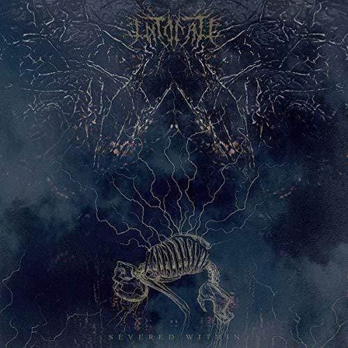 Intonate - Severed Within (Random Mixed Vinyl) (LP) - Joco Records