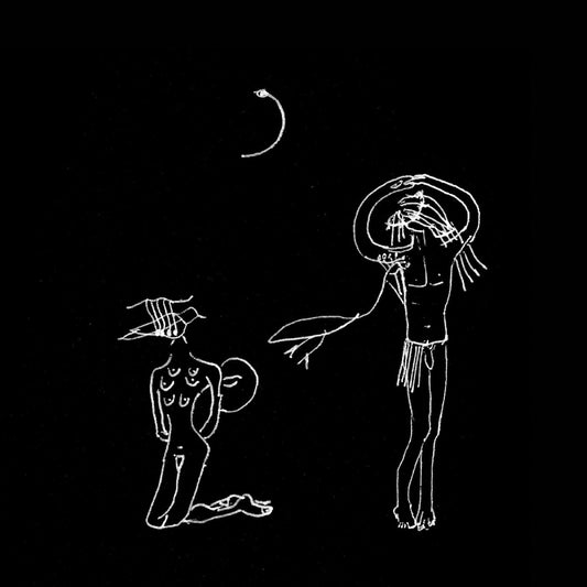 Isobel Campbell - Milkwhite Sheets