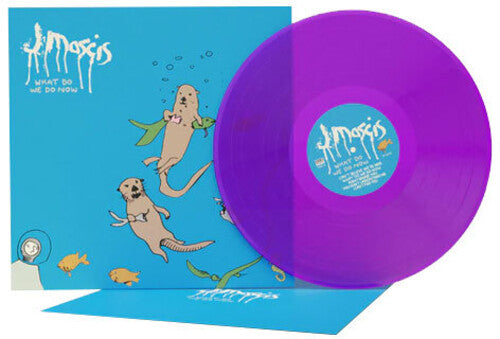 J Mascis - What Do We Do Now (Color Vinyl, Clear Vinyl, Purple) - Joco Records