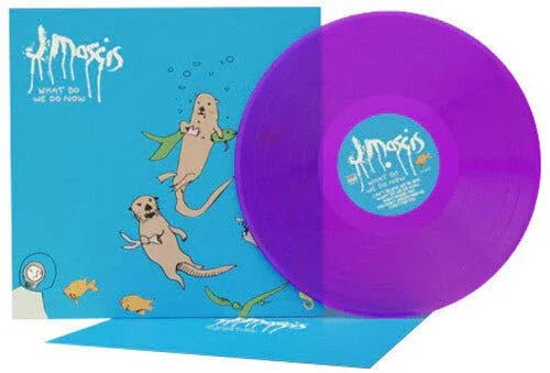 J Mascis - What Do We Do Now (Limited Edition, Clear Purple Vinyl) (LP) - Joco Records