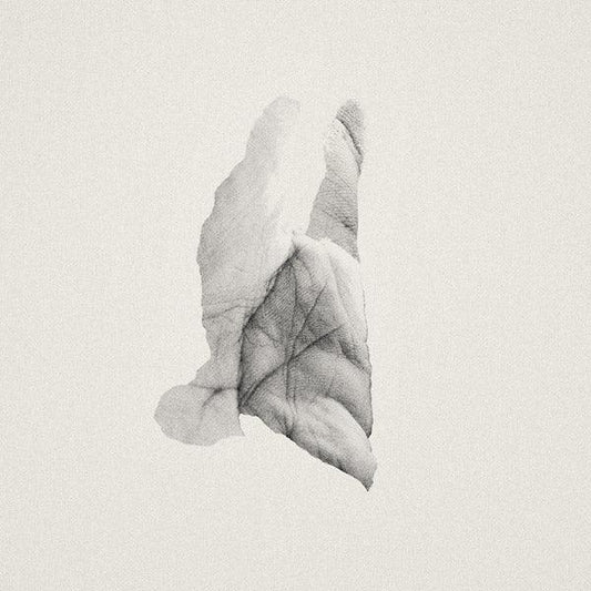 Jabu - Sleep Heavy (LP) - Joco Records