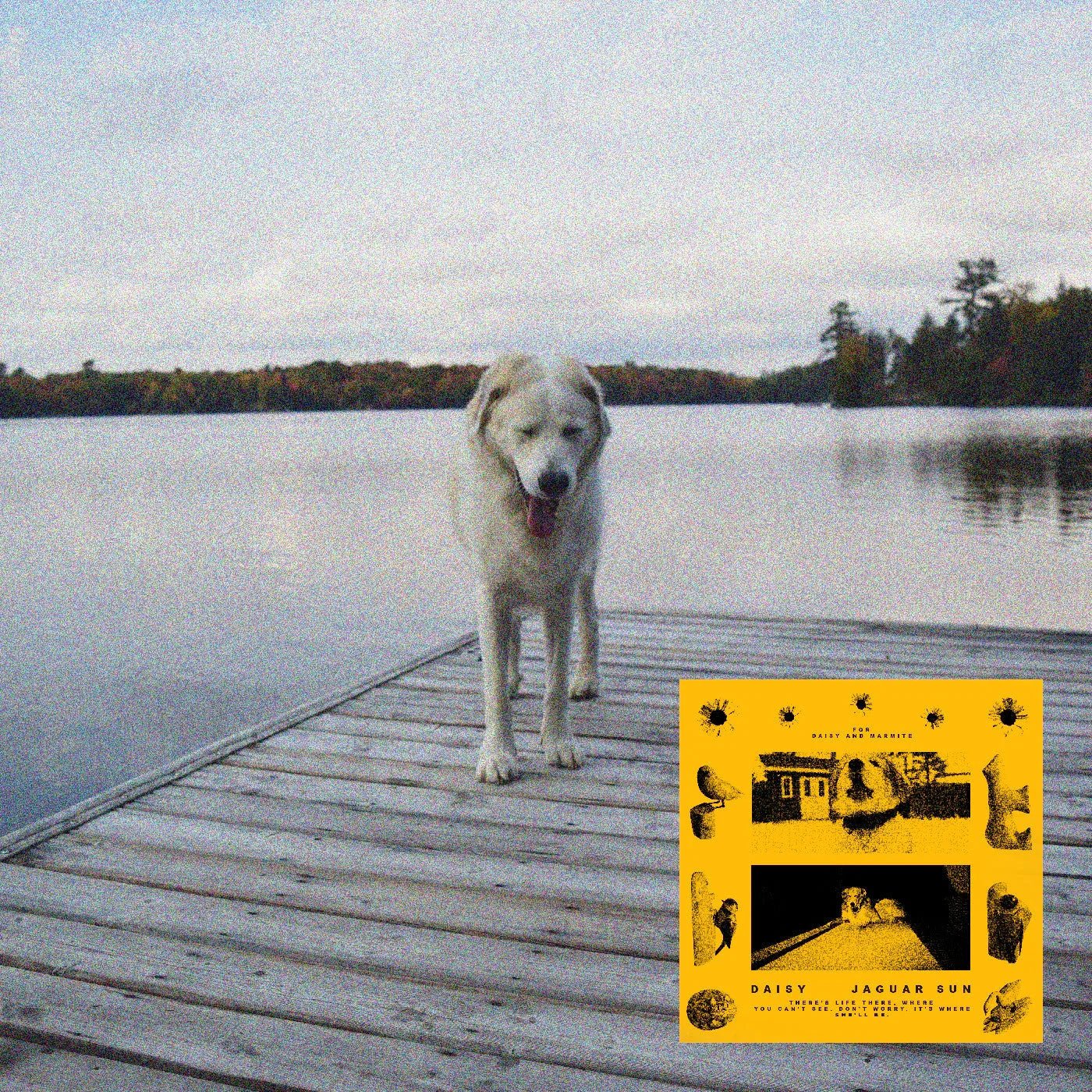 Jaguar Sun - Daisy (Black And Yellow Swirl Vinyl) (2 LP) - Joco Records