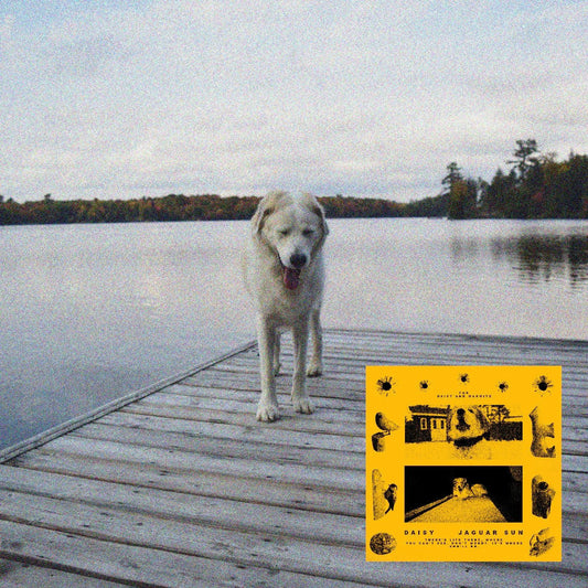 Jaguar Sun - Daisy (Black And Yellow Swirl Vinyl) (2 LP) - Joco Records