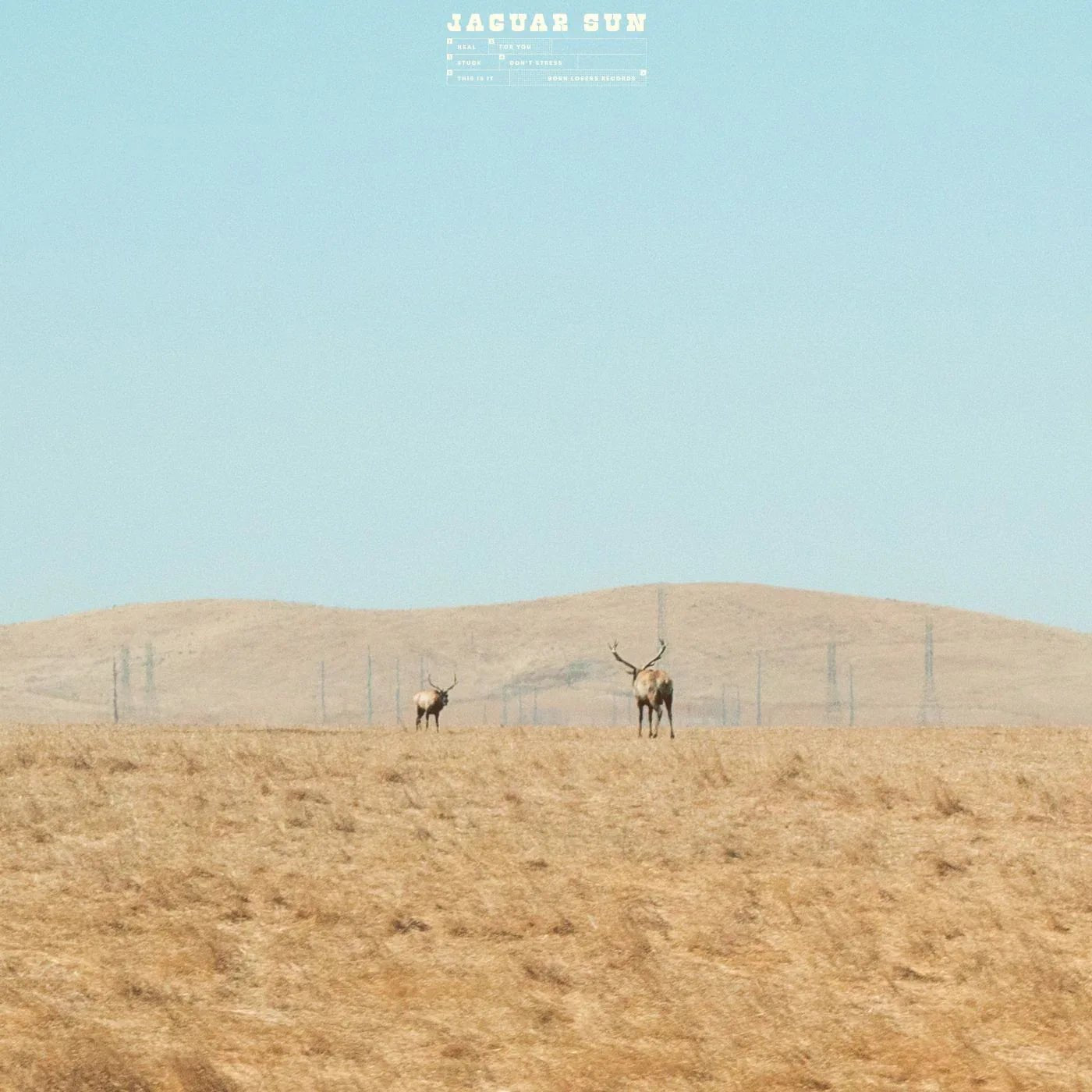Jaguar Sun - For You (Blue And Black Swirl Vinyl) (LP) - Joco Records