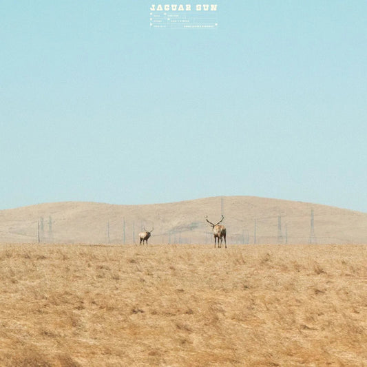 Jaguar Sun - For You (Blue And Black Swirl Vinyl) (LP) - Joco Records