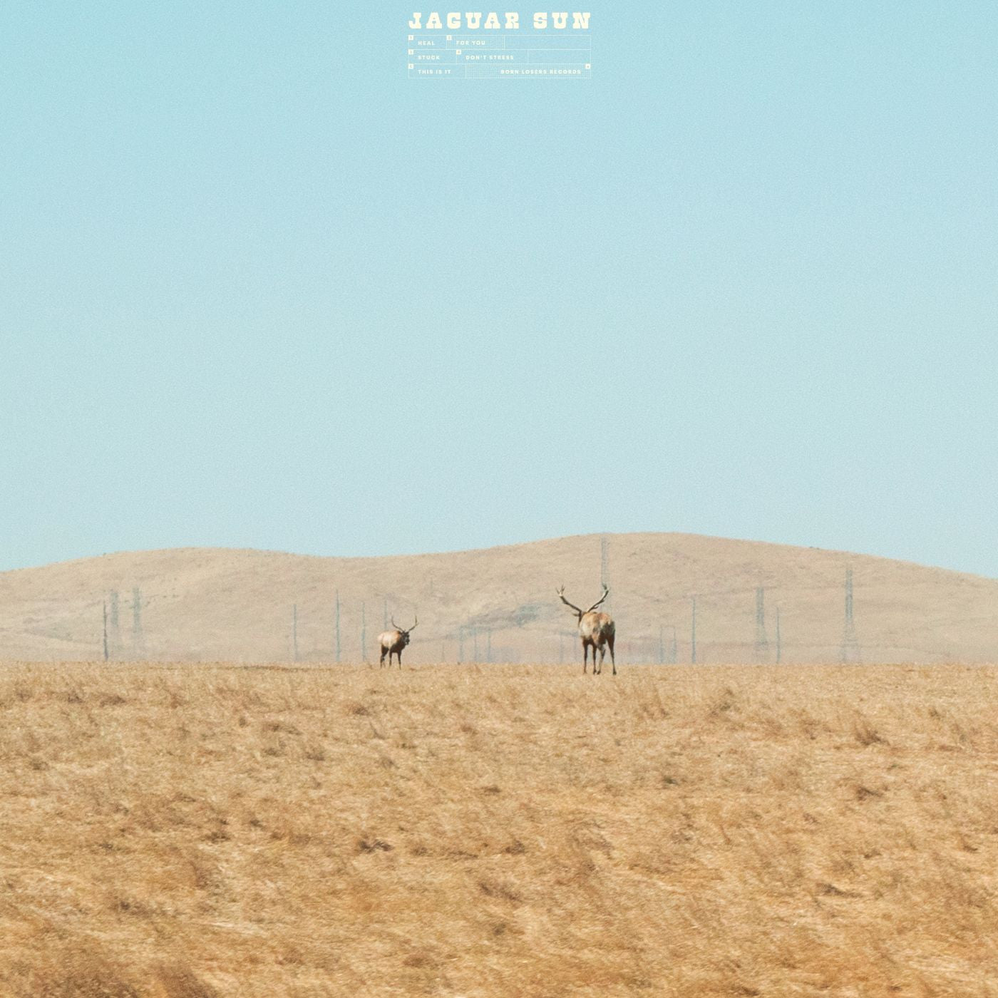 Jaguar Sun - For You (Blue And Black Swirl Vinyl)