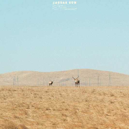 Jaguar Sun - For You (Blue And Black Swirl Vinyl)