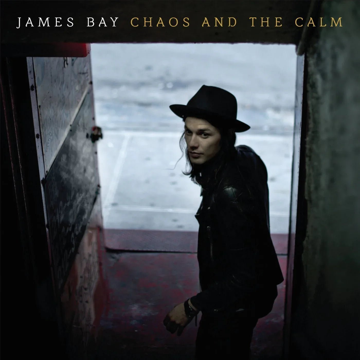 James Bay - Chaos And The Calm (Gatefold) (LP) - Joco Records