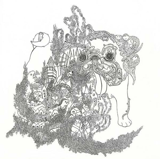 James Blackshaw - Summoning Suns (LP) - Joco Records