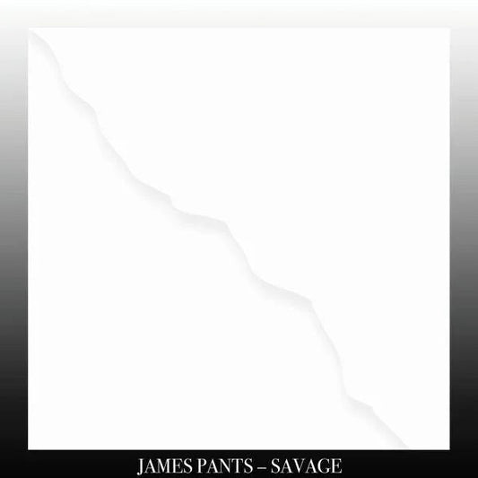 James Pants - Savage (LP) - Joco Records