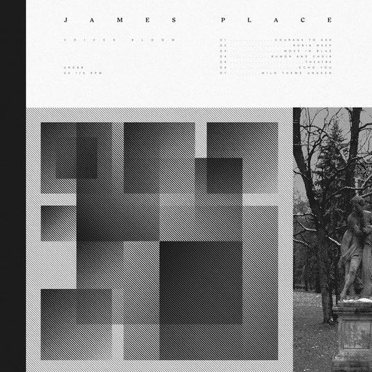 James Place - Voices Bloom (LP) - Joco Records