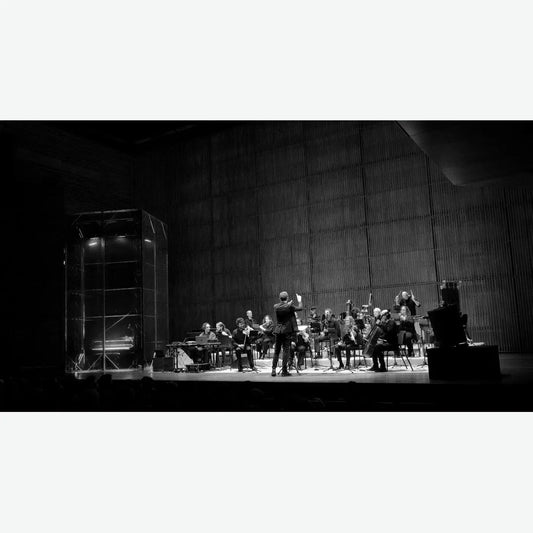Jameszoo - Music For 17 Musicians (LP) - Joco Records