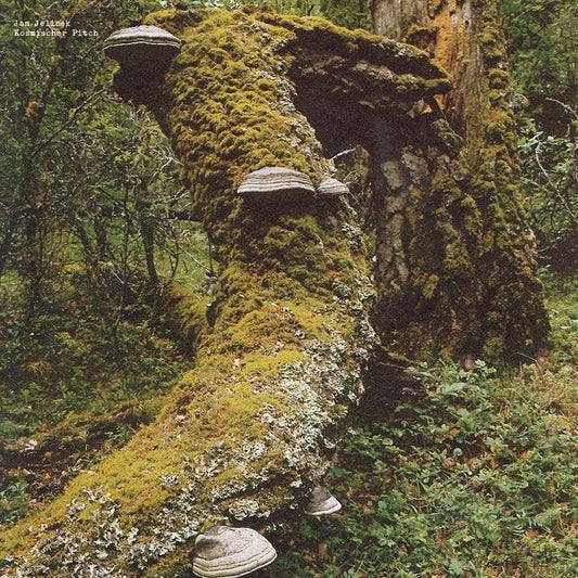 Jan Jelinek - Kosmischer Pitch (Vinyl) - Joco Records