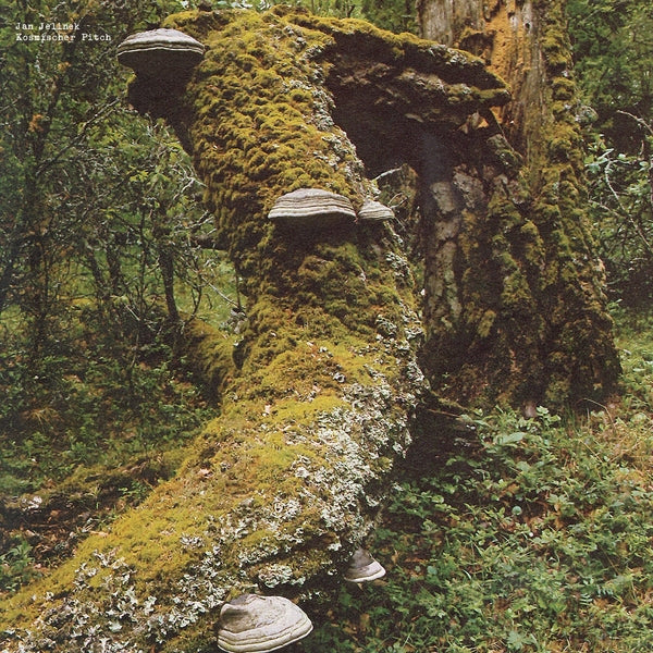 JAN JELINEK - Kosmischer Pitch