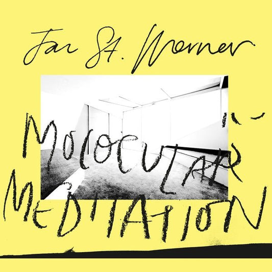Jan St. Werner - Molocular Meditation (LP) - Joco Records