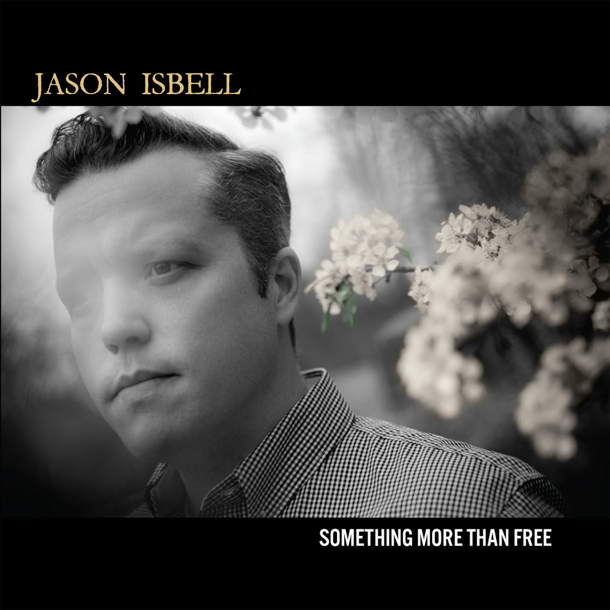 Jason Isbell - Something More Than Free (10 Year Anniversary Edition) (Indie Exclusive Denim Vinyl) (2 LP)