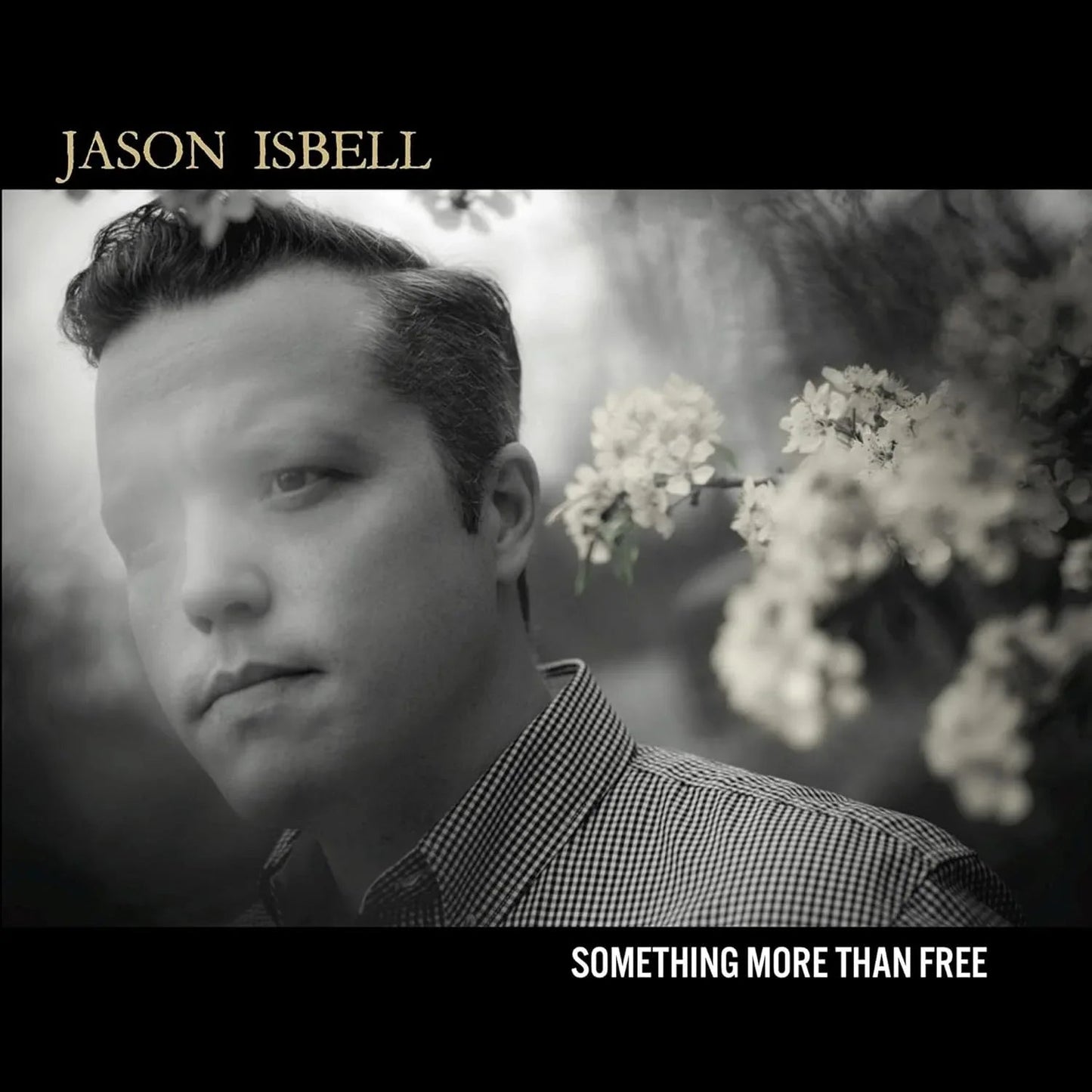 Jason Isbell - Something More Than Free (LP) - Joco Records