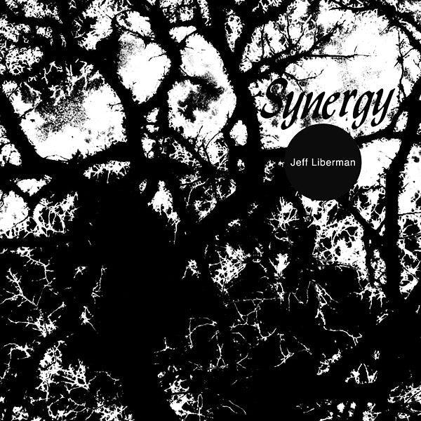 Jeff Liberman - Synergy (LP) - Joco Records
