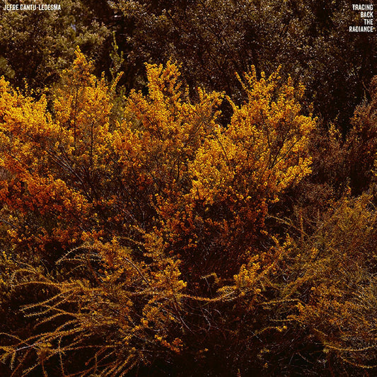 Jefre Cantu-Ledesma - Tracing Back The Radiance (LP) - Joco Records