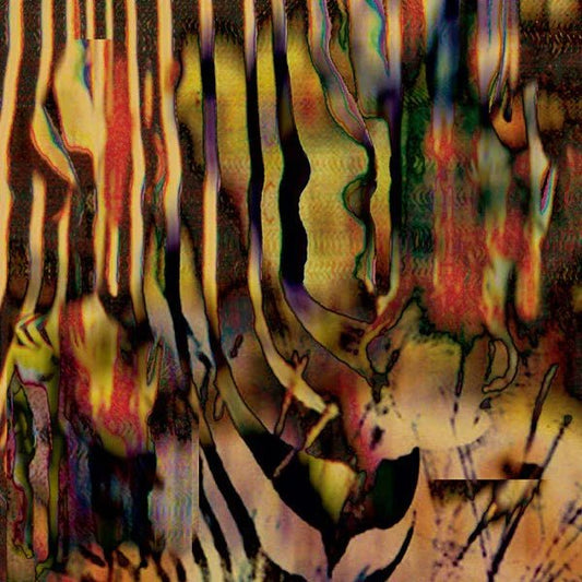 Jemh Circs - Untitled Kingdom (2 LP) - Joco Records