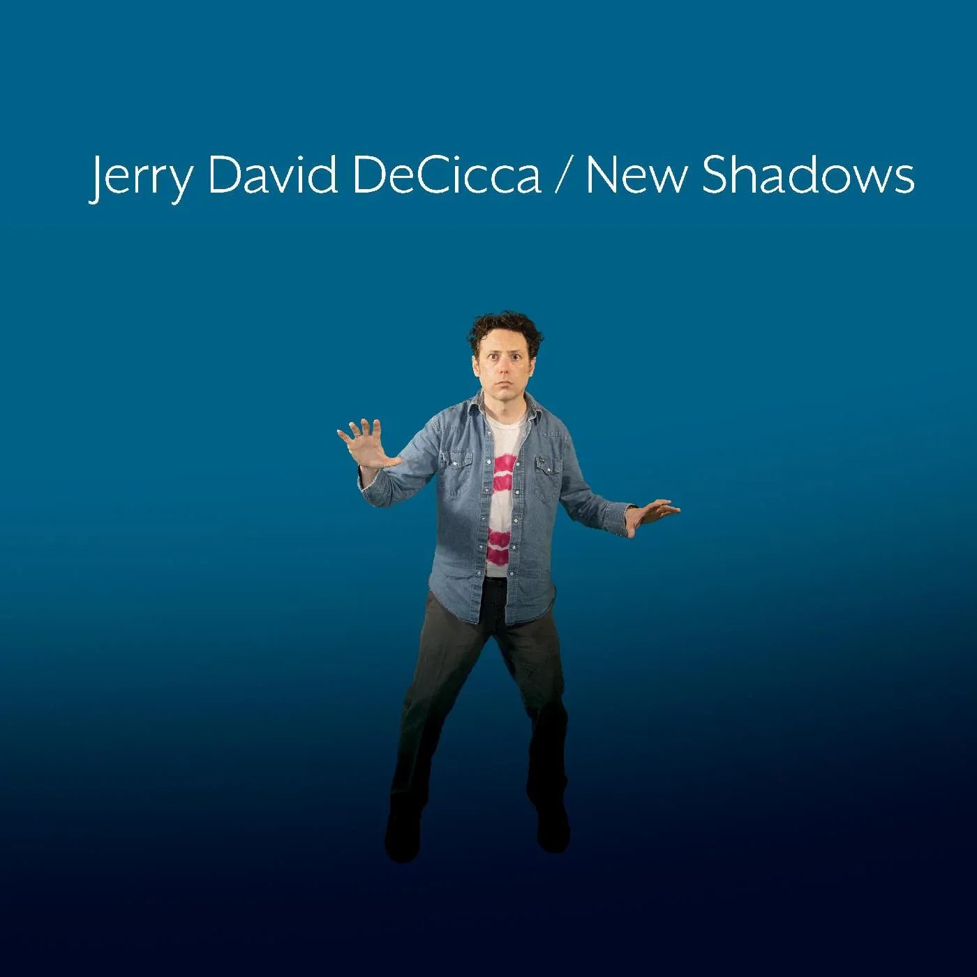 Jerry David DeCicca - New Shadows (LP) - Joco Records