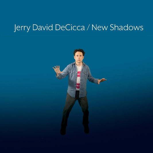 Jerry David DeCicca - New Shadows (LP) - Joco Records