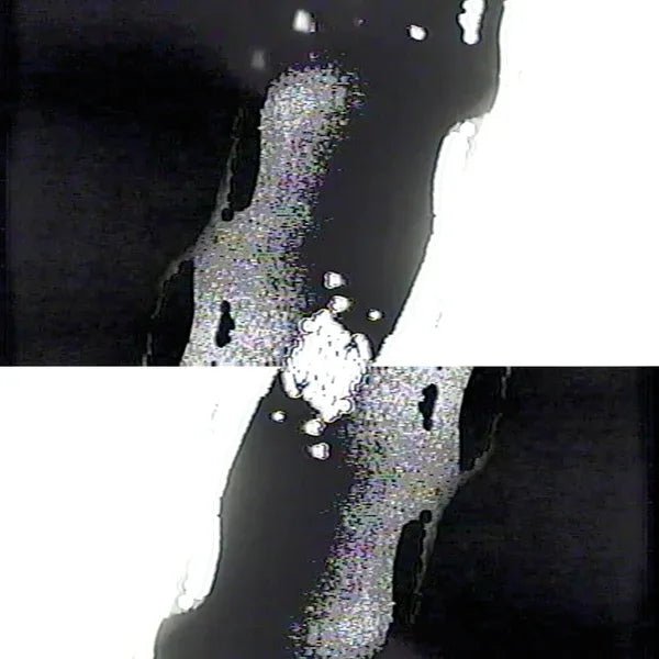 Jesse Justice - Temporary (LP) - Joco Records