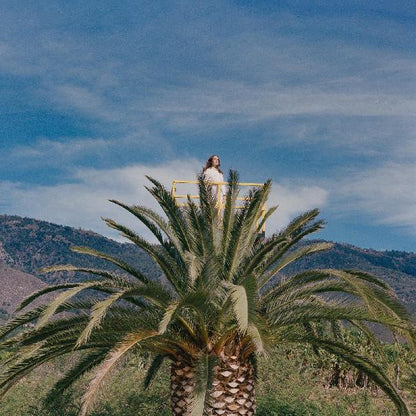 Jessy Lanza - Love Hallucination (LP) - Joco Records