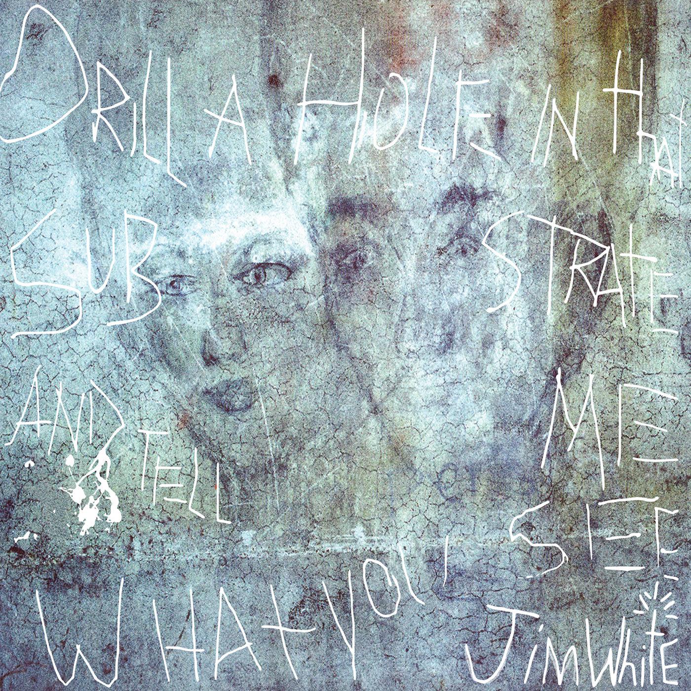 Jim White - Drill A Hole In That Substrate And Tell Me What You See (2 LP) - Joco Records