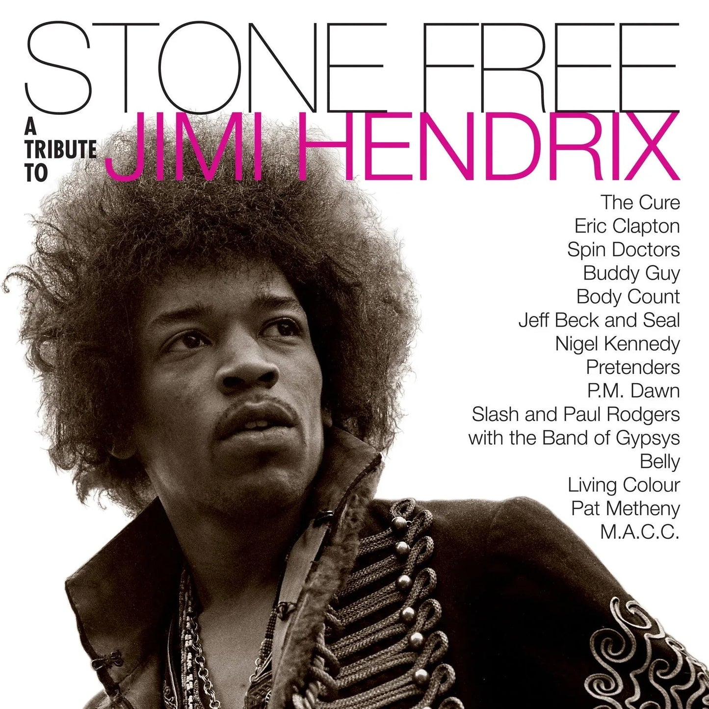 Jimmy Hendrix Tribute - Stone Free: Jimi Hendrix Tribute (Rocktober 2020, Brick & Mortar Exclusive) (2 LP) - Joco Records