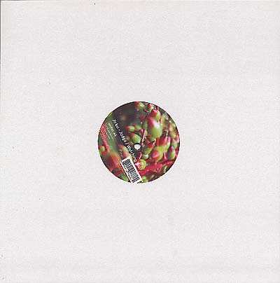 Jirku - Judge - Watching You (12 - Inch Vinyl) - Joco Records