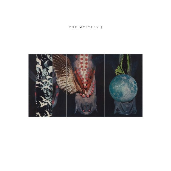 Joe Mcphee, Jen Clare Paulson, Brian Labycz - The Mystery J (LP) - Joco Records